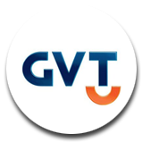 Consultoria_GVT