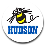 Consultoria_Hudson